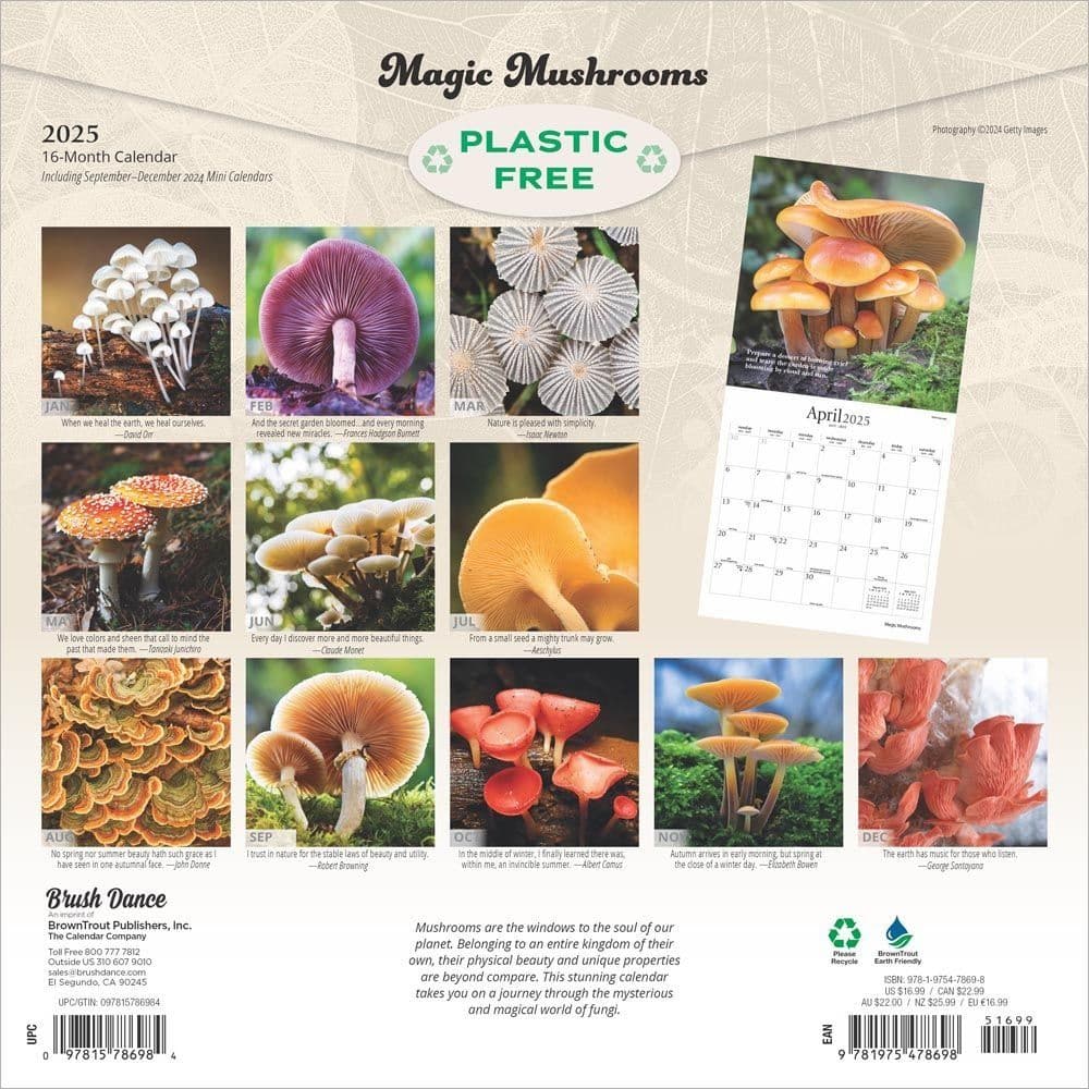 Magic Mushrooms 2025 Wall Calendar First Alternate Image