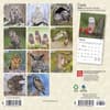 image Owls 2024 Mini Wall Calendar First Alternate Image width=&quot;1000&quot; height=&quot;1000&quot;