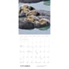image Sea Otters 2025 Wall Calendar Third Alternate Image width=&quot;1000&quot; height=&quot;1000&quot;