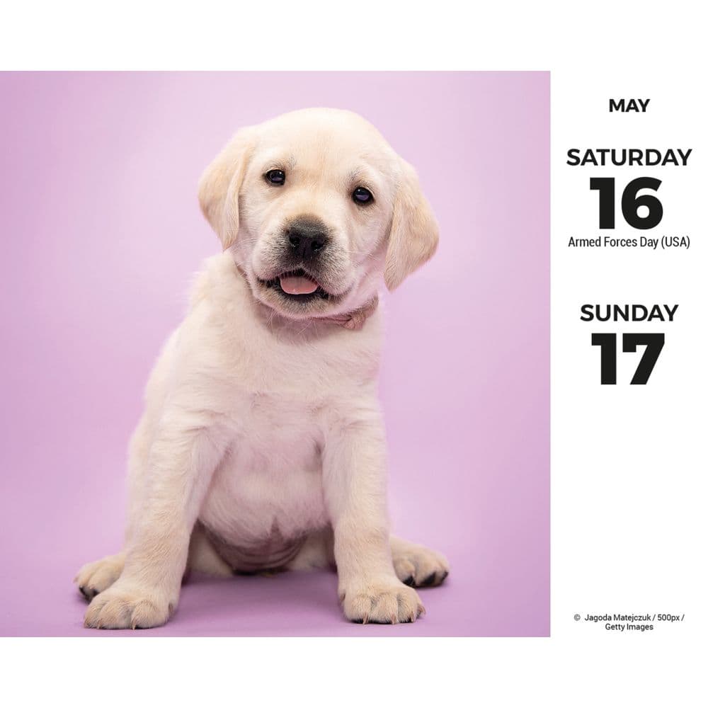 Labs 2026 Desk Calendar Third Alternate Image