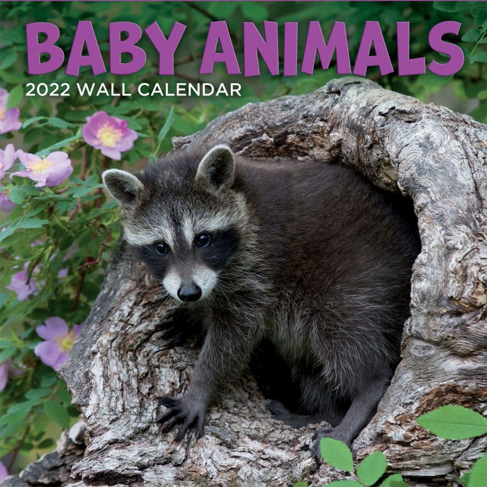 Trends International 2022 Animal Babies (Bilingual French) Mini 