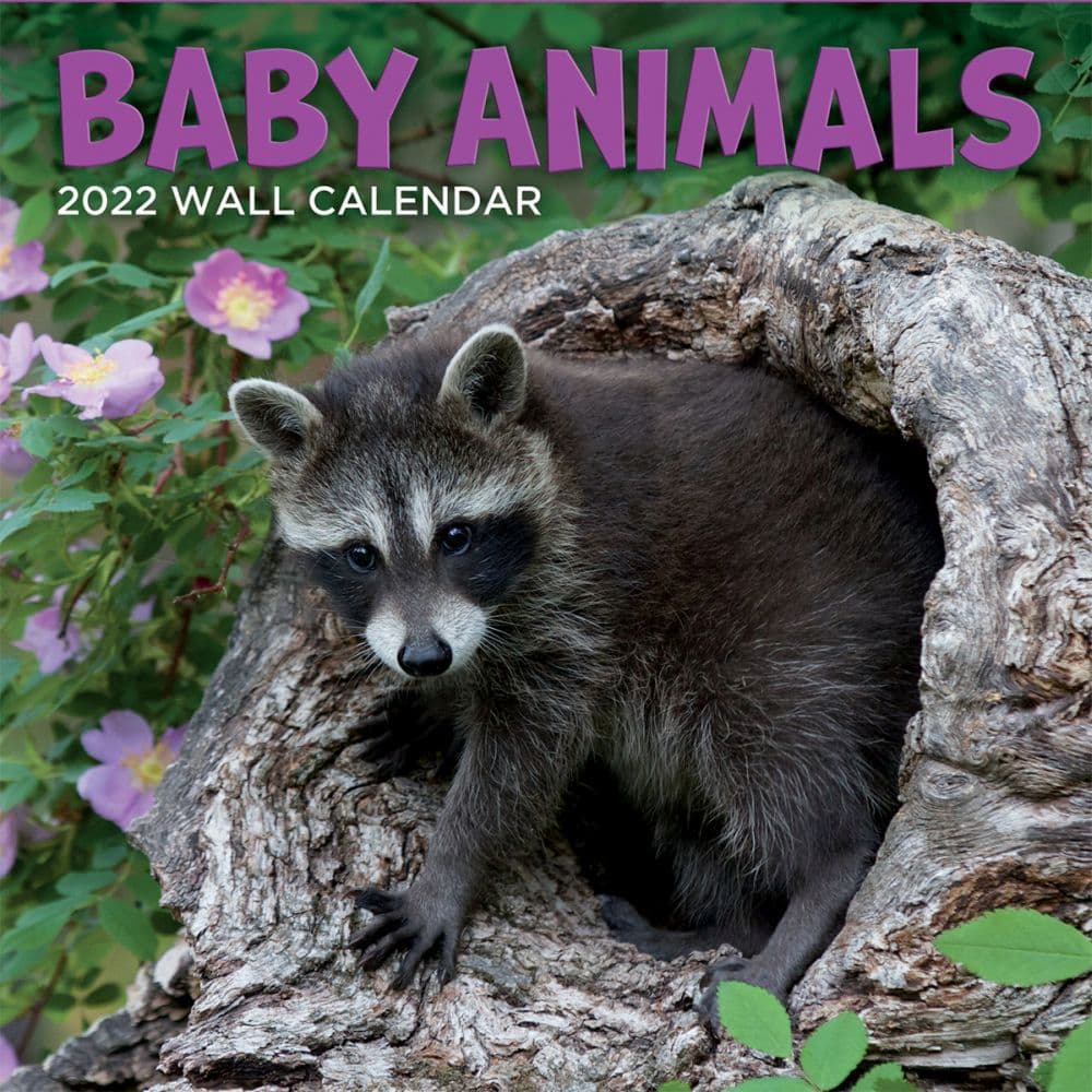 Baby Animals 2022 Wall Calendar - Calendars.com