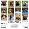 image Grizzly Bears 2025 Wall Calendar First Alternate Image width="1000" height="1000"