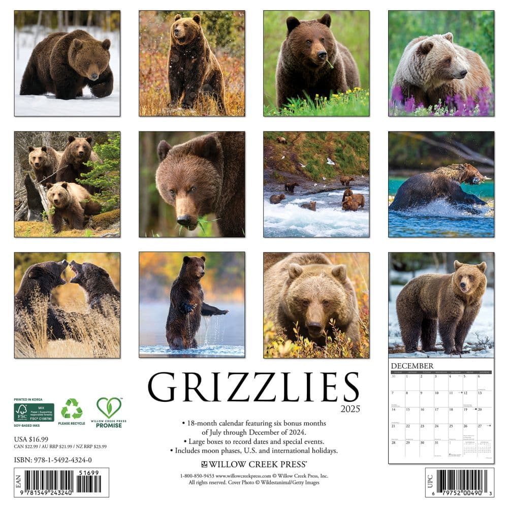 Grizzly Bears 2025 Wall Calendar First Alternate Image width="1000" height="1000"