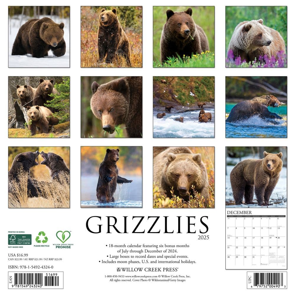 Grizzly Bears 2025 Wall Calendar