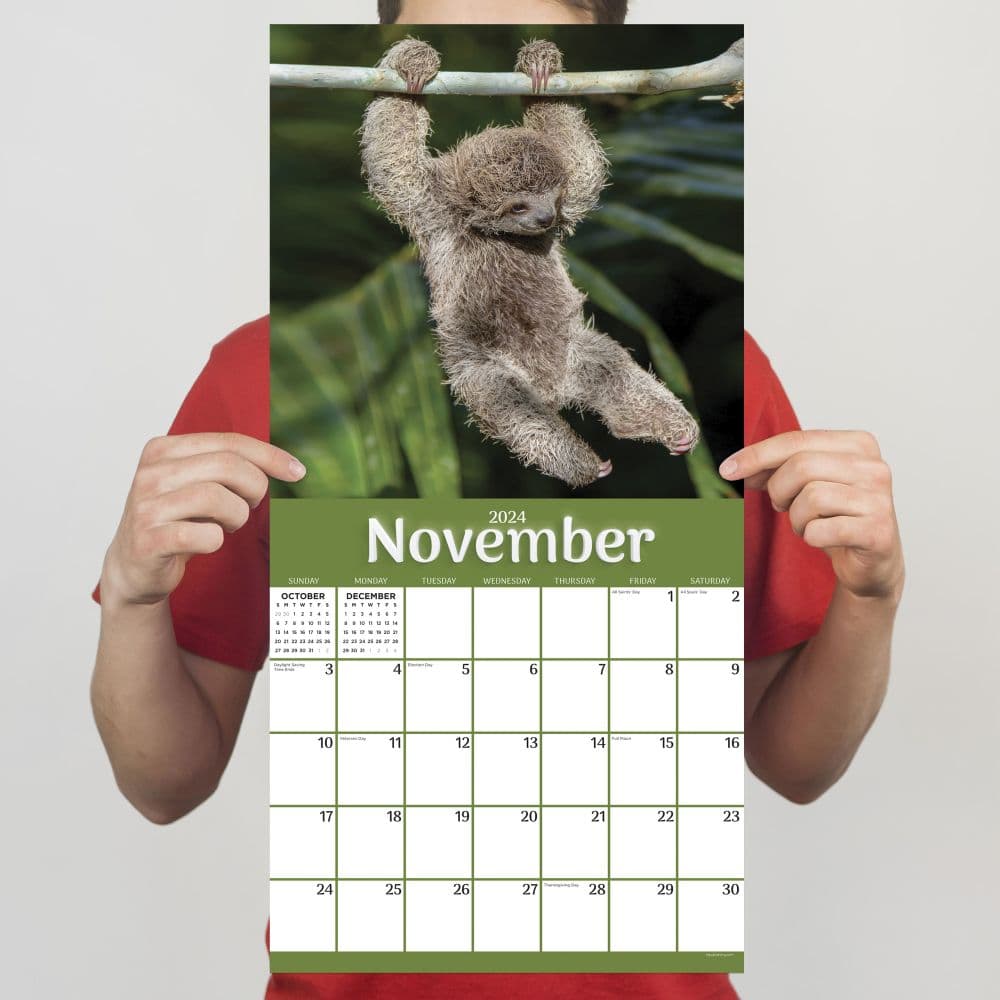 Sloths 2024 Wall Calendar Fourth Alternate Image width=&quot;1000&quot; height=&quot;1000&quot;