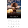 image Dogs Life 2026 Wall Calendar Second Alternate Image
