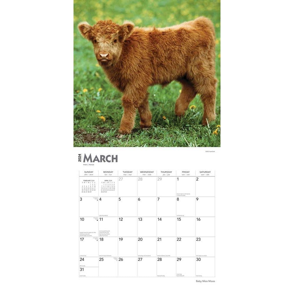 Baby Moo Moos 2024 Wall Calendar Second Alternate Image width=&quot;1000&quot; height=&quot;1000&quot;