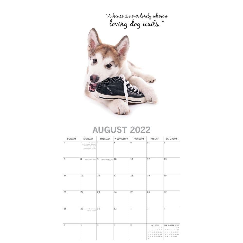 adorable dogs 2022 wall calendar calendars com