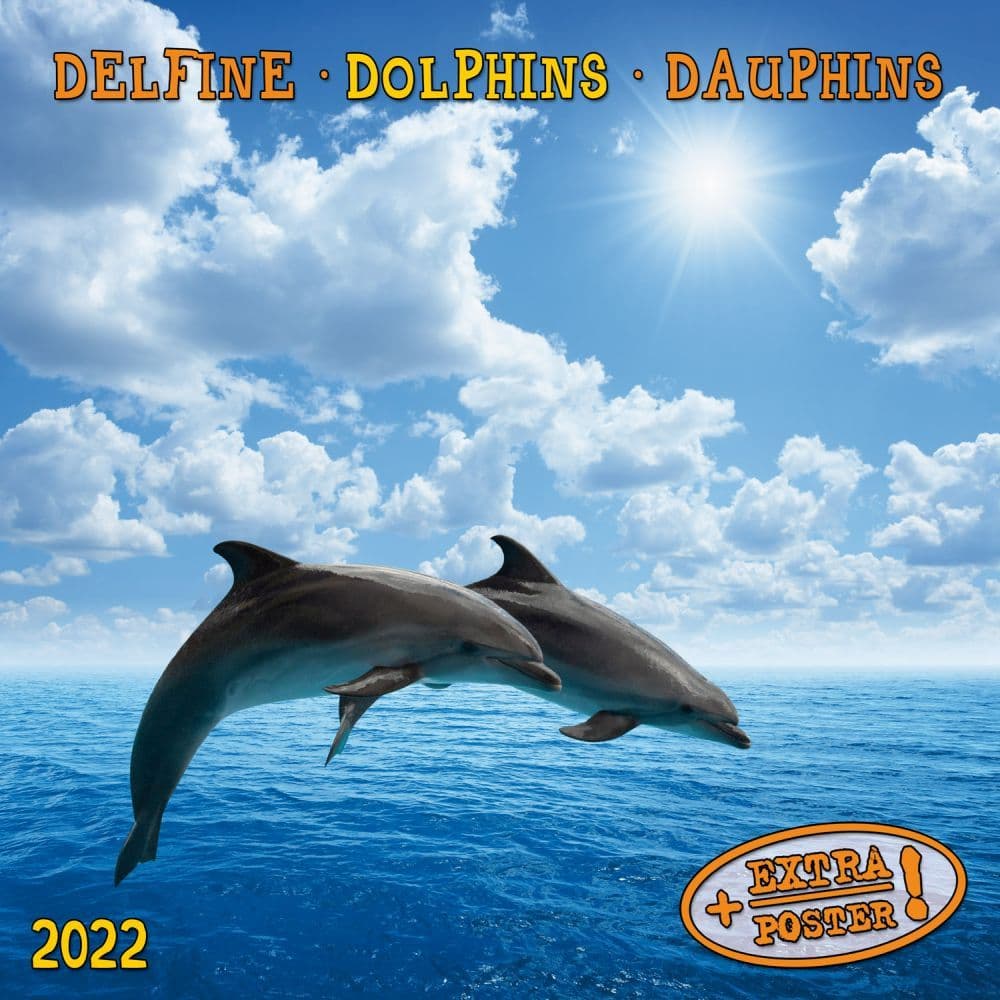Dolphins Tushita 2022 Small Wall Calendar