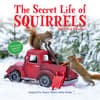 image Secret Life of Squirrels 2024 Mini Wall Calendar Main Image