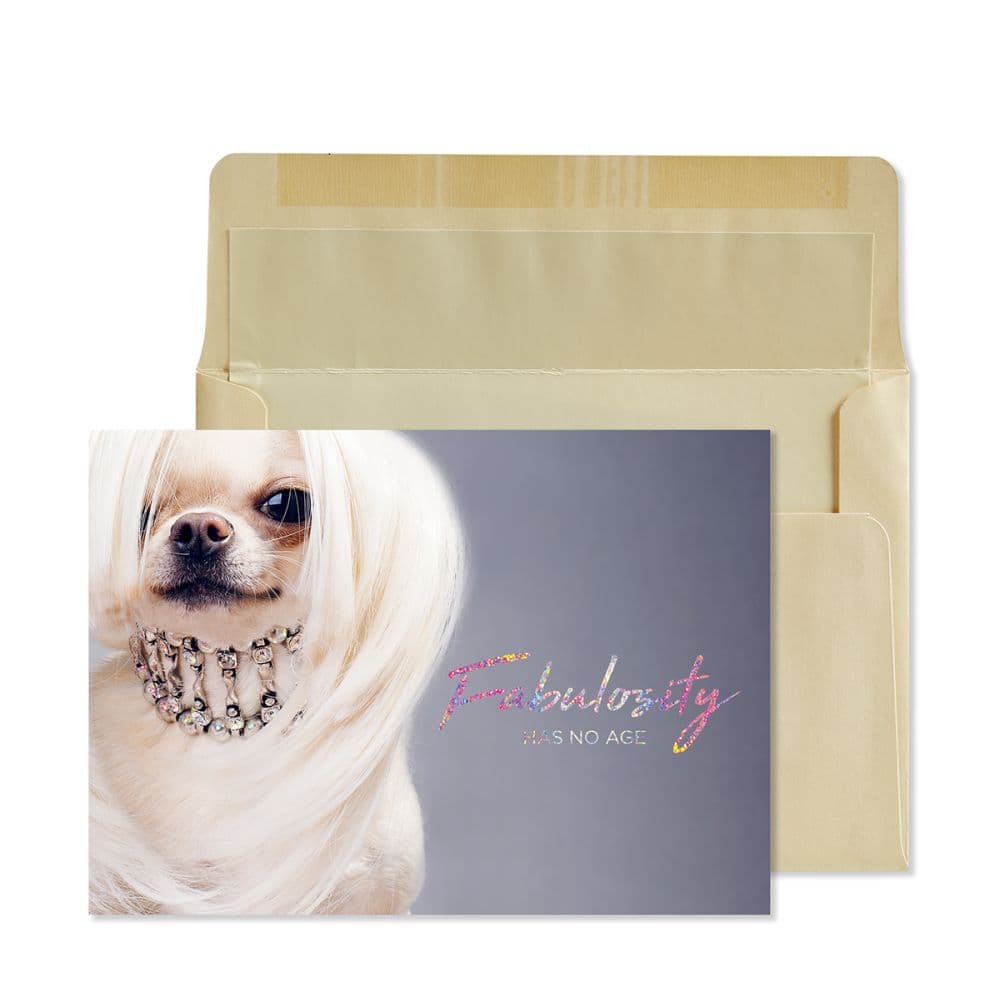 image Photo Glam Dog Birthday Card Main Product Image width=&quot;1000&quot; height=&quot;1000&quot;