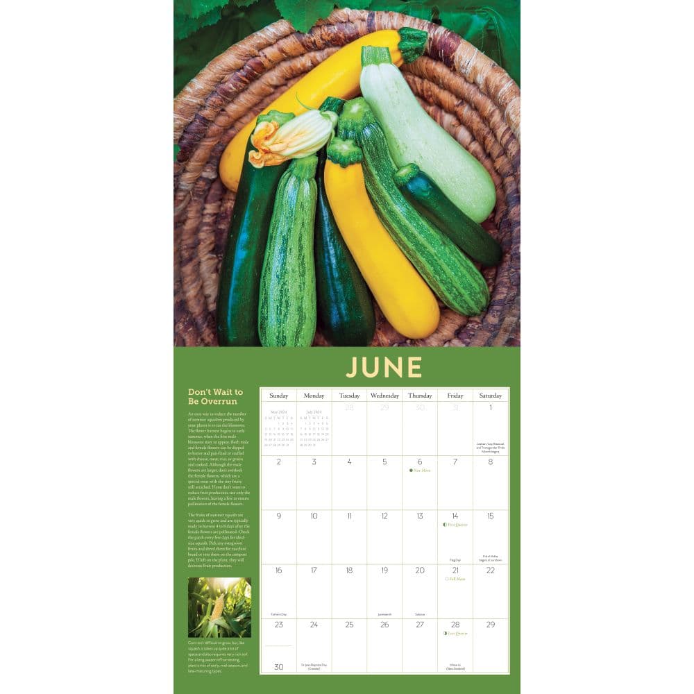 Vegetable Gardener 2024 Wall Calendar