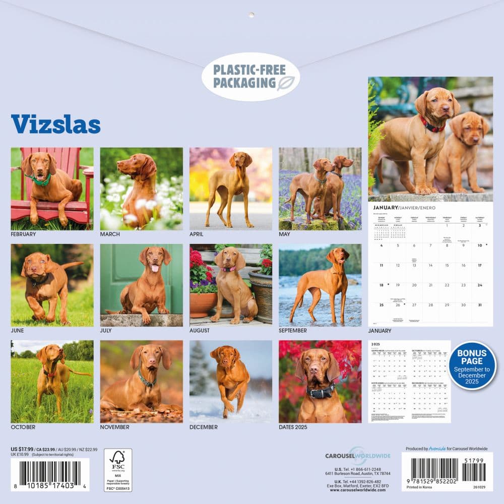 Vizslas 2026 Wall Calendar First Alternate Image