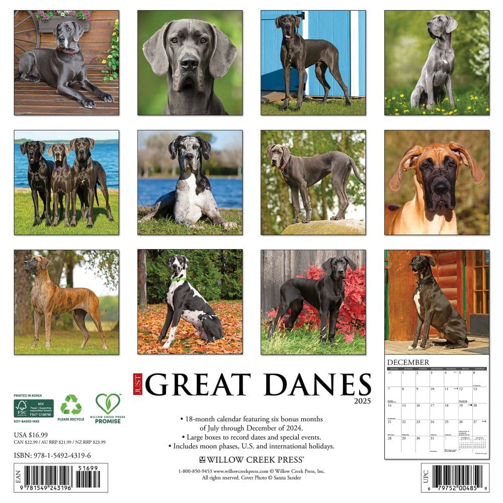 Just Great Danes 2025 Wall Calendar First Alternate Image width="1000" height="1000"