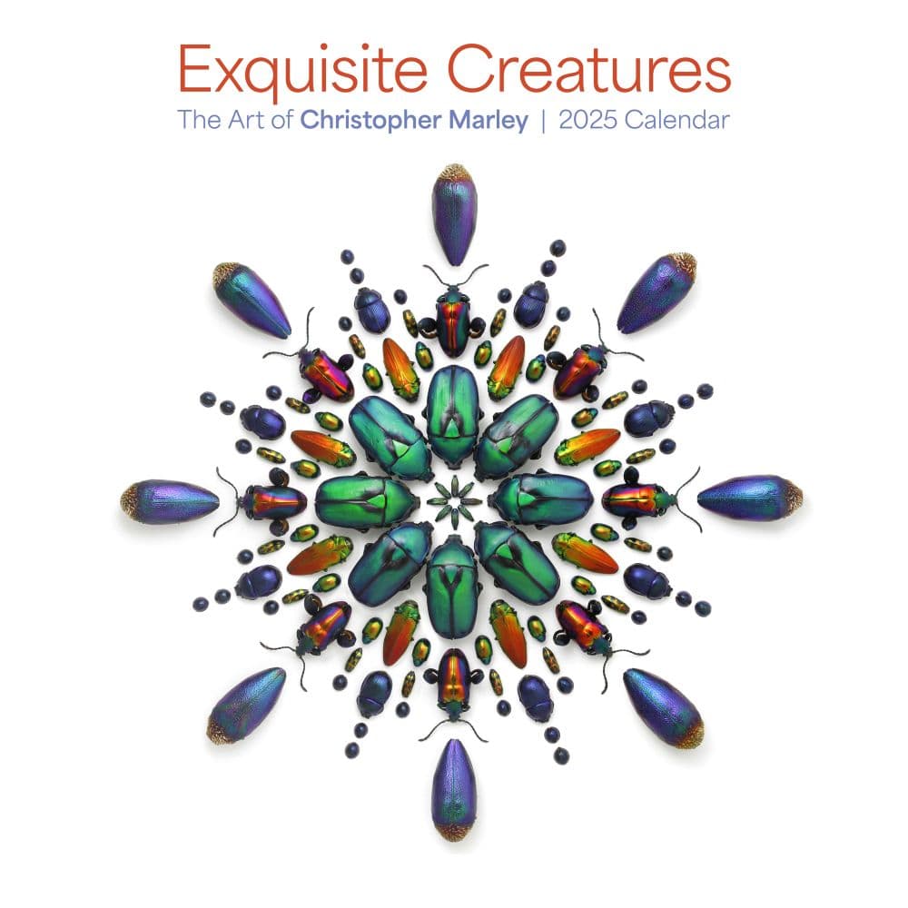 Exquisite Creatures 2025 Wall Calendar Main Image