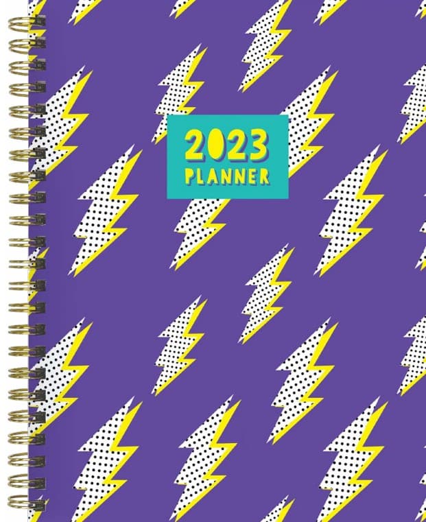 TF Publishing Strike a Pose 2023 Medium Daily Weekly Monthly Planner