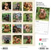 image Miniature Dachshund 2024 Mini Wall Calendar First Alternate Image width=&quot;1000&quot; height=&quot;1000&quot;