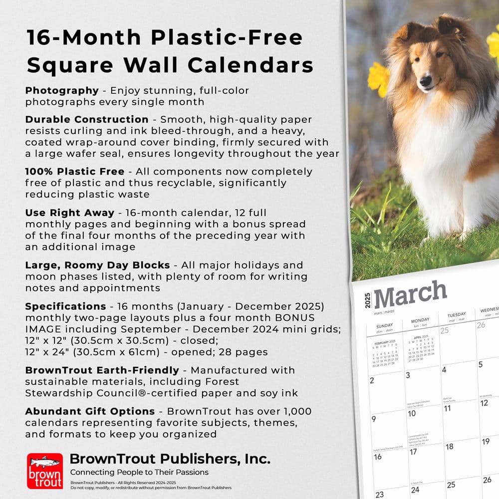 Shetland Sheepdogs 2025 Wall Calendar