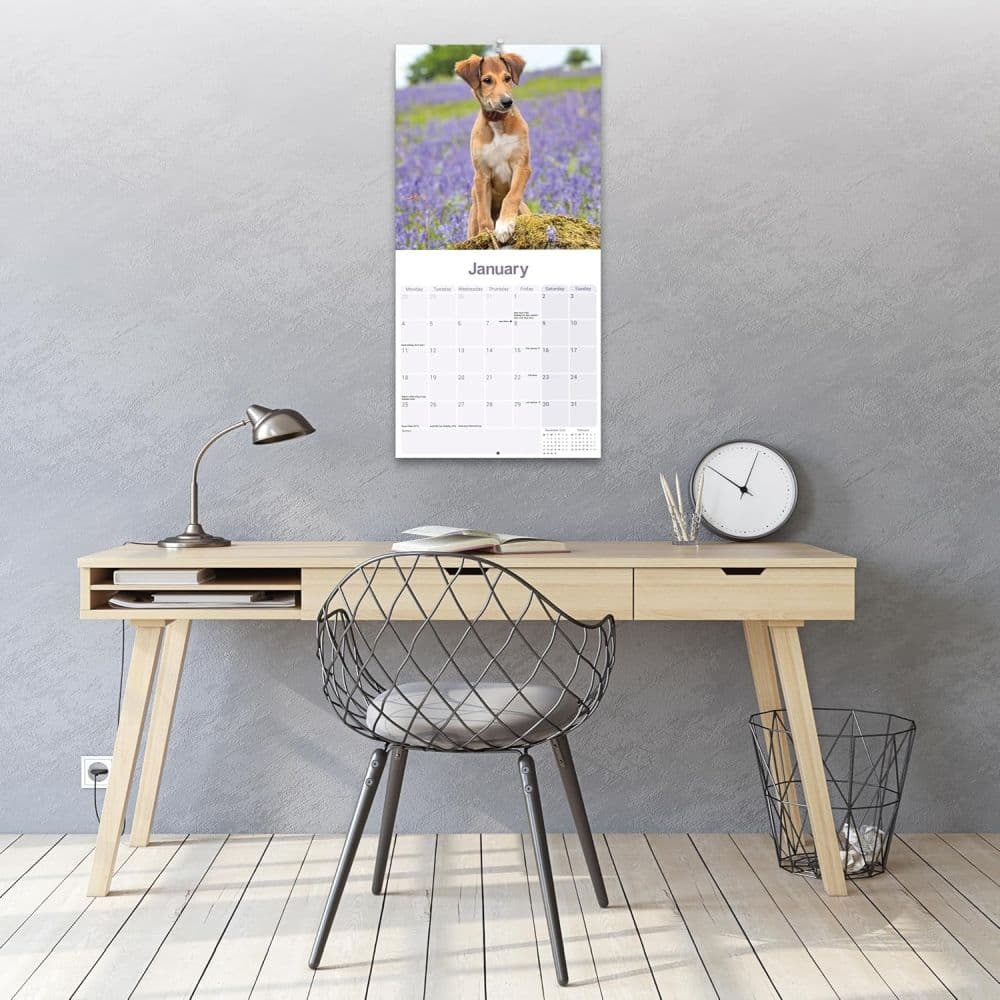 Lurcher 2027 Wall Calendar Third Alternate Image