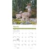 image White Tailed Deer Wall 2024 Wall Calendar Alternate Image 2