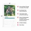 image Baby Big Cats 2025 Wall Calendar Fourth Alternate Image width="1000" height="1000"