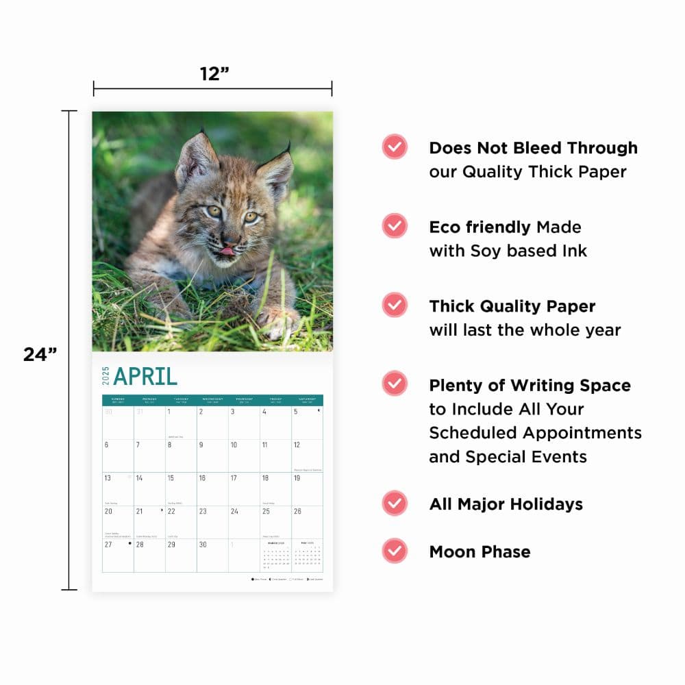 Baby Big Cats 2025 Wall Calendar Fourth Alternate Image width="1000" height="1000"