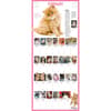 image Kittens 365 Days 2025 Wall Calendar Alt1