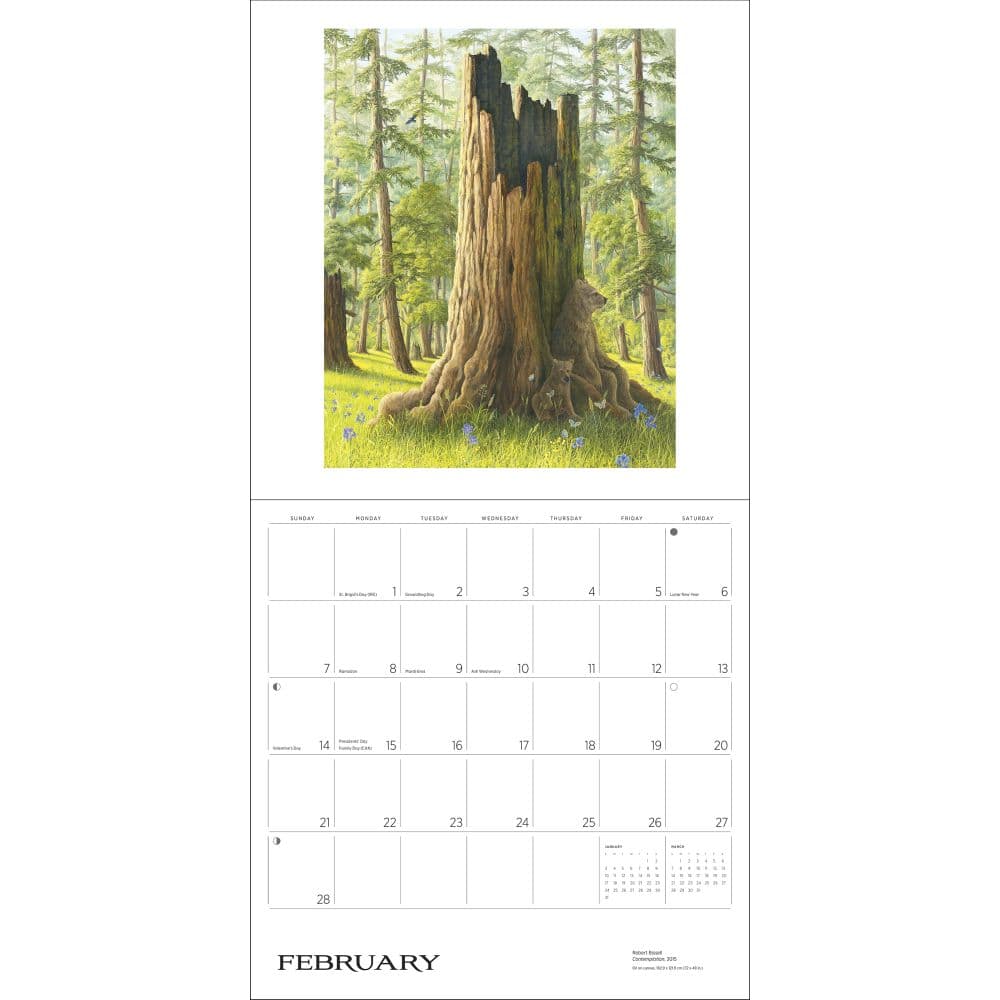 Spirit 2027 Wall Calendar by Robert Bissell Third Alternate Image