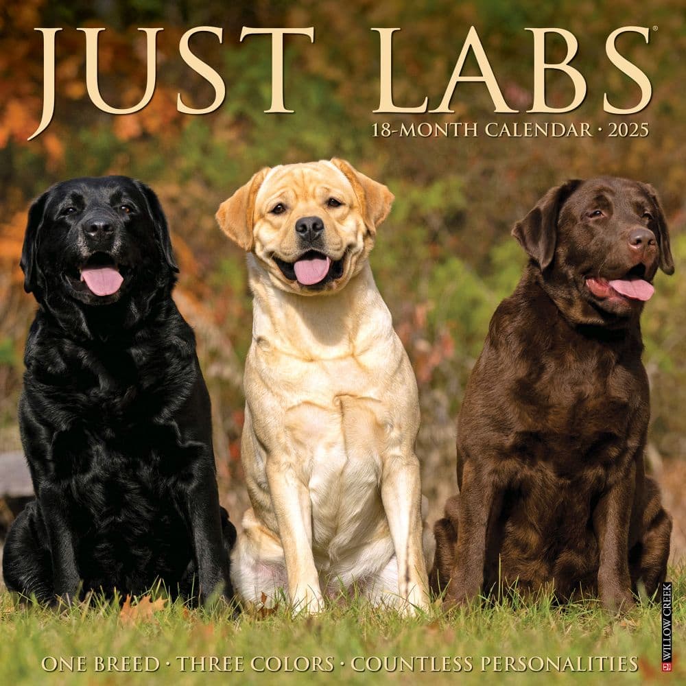 Just Labs 2025 Wall Calendar