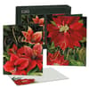 image Rejoice Assorted Christmas Cards by Nicole Tamarin Main Product Image