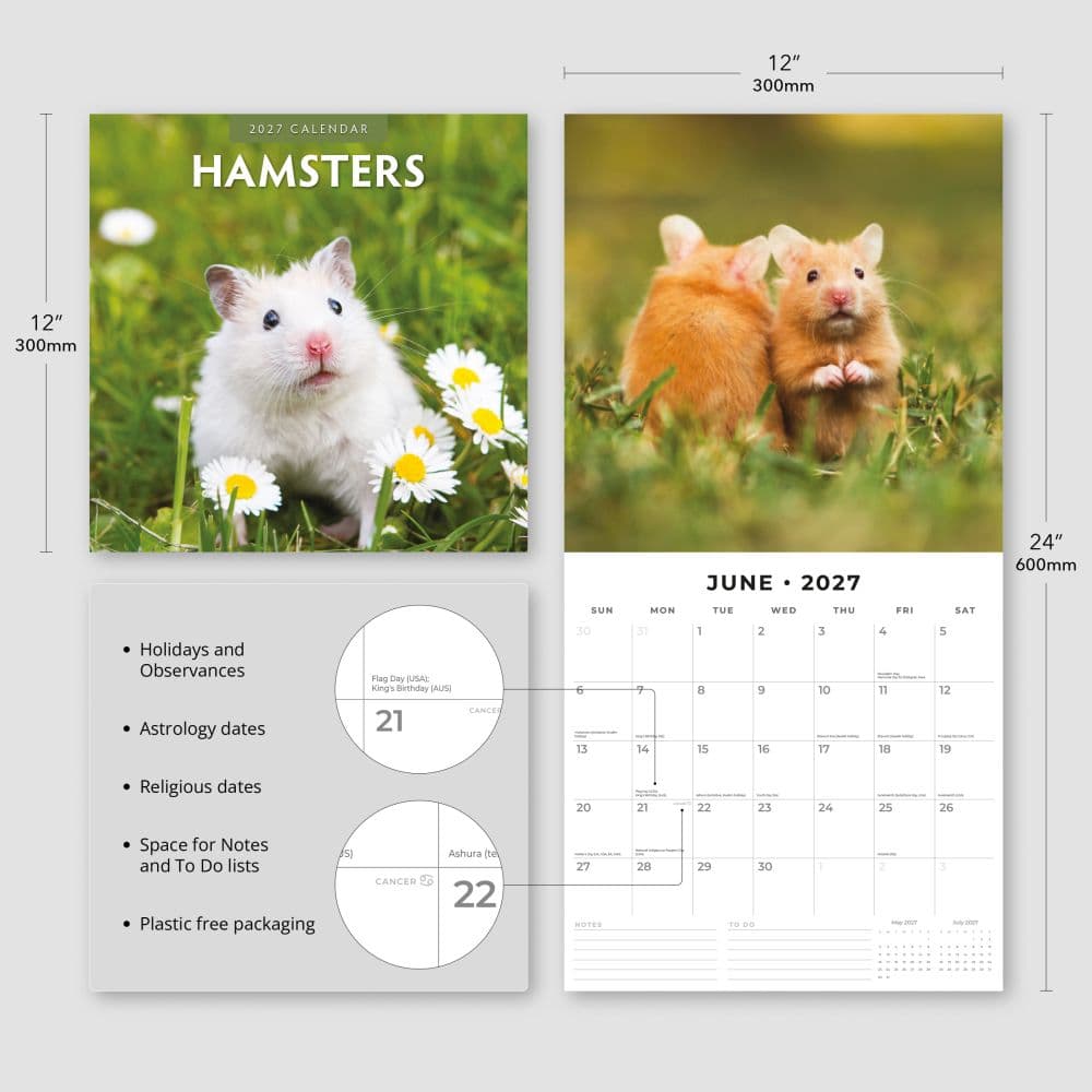 Hamsters 2027 Wall Calendar Third Alternate Image