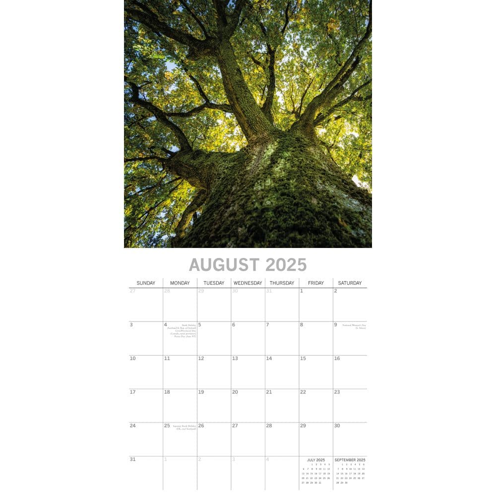 Woodland 2025 Wall Calendar