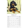 image Gordon Setter 2027 Wall Calendar Second Alternate Image