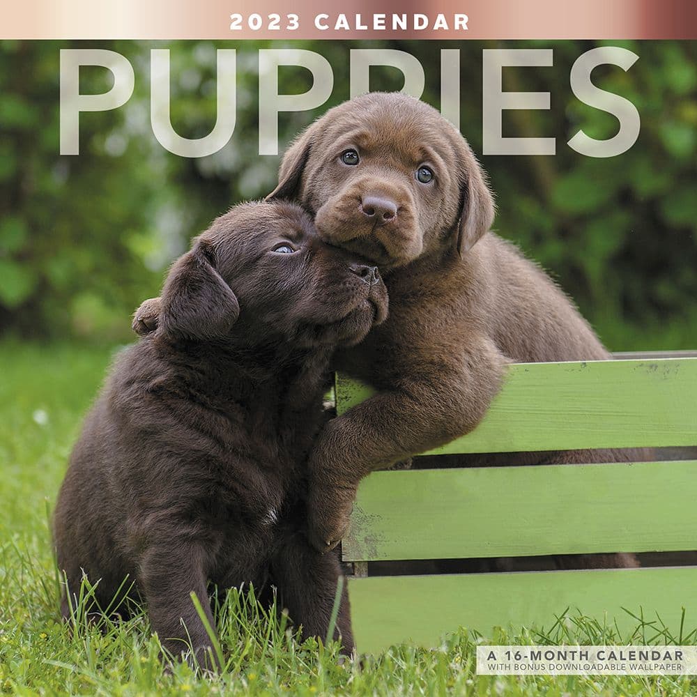 puppies-2023-wall-calendar-calendars
