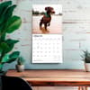 image German Shorthaired Pointers 2027 Wall Calendar Fourth Alternate Image