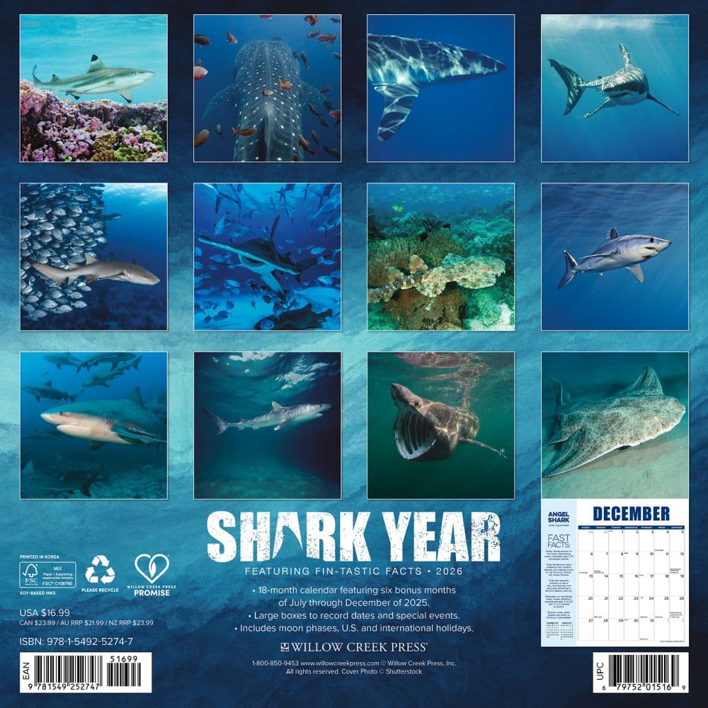 Shark Year 2026 Wall Calendar First Alternate Image
