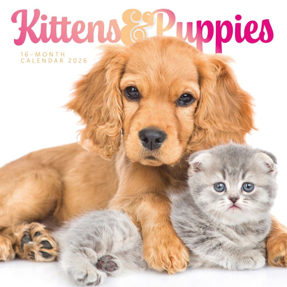 Kittens and Puppies Special Value 2026 Wall Calendar Main Image