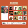image Dachshunds 2026 Wall Calendar First Alternate Image