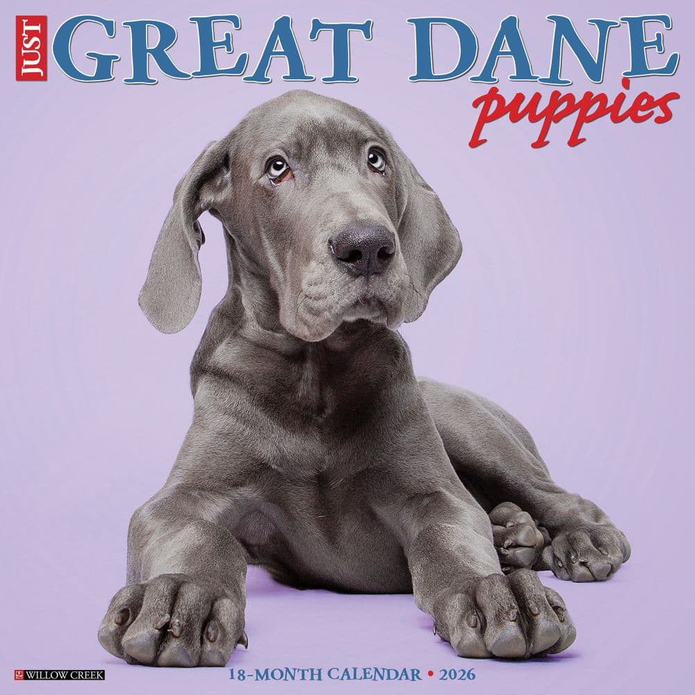 Great Dane Puppies 2026 Wall Calendar Main Image