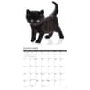 image Black Kitties 2025 Wall Calendar Second Alternate Image width="1000" height="1000"