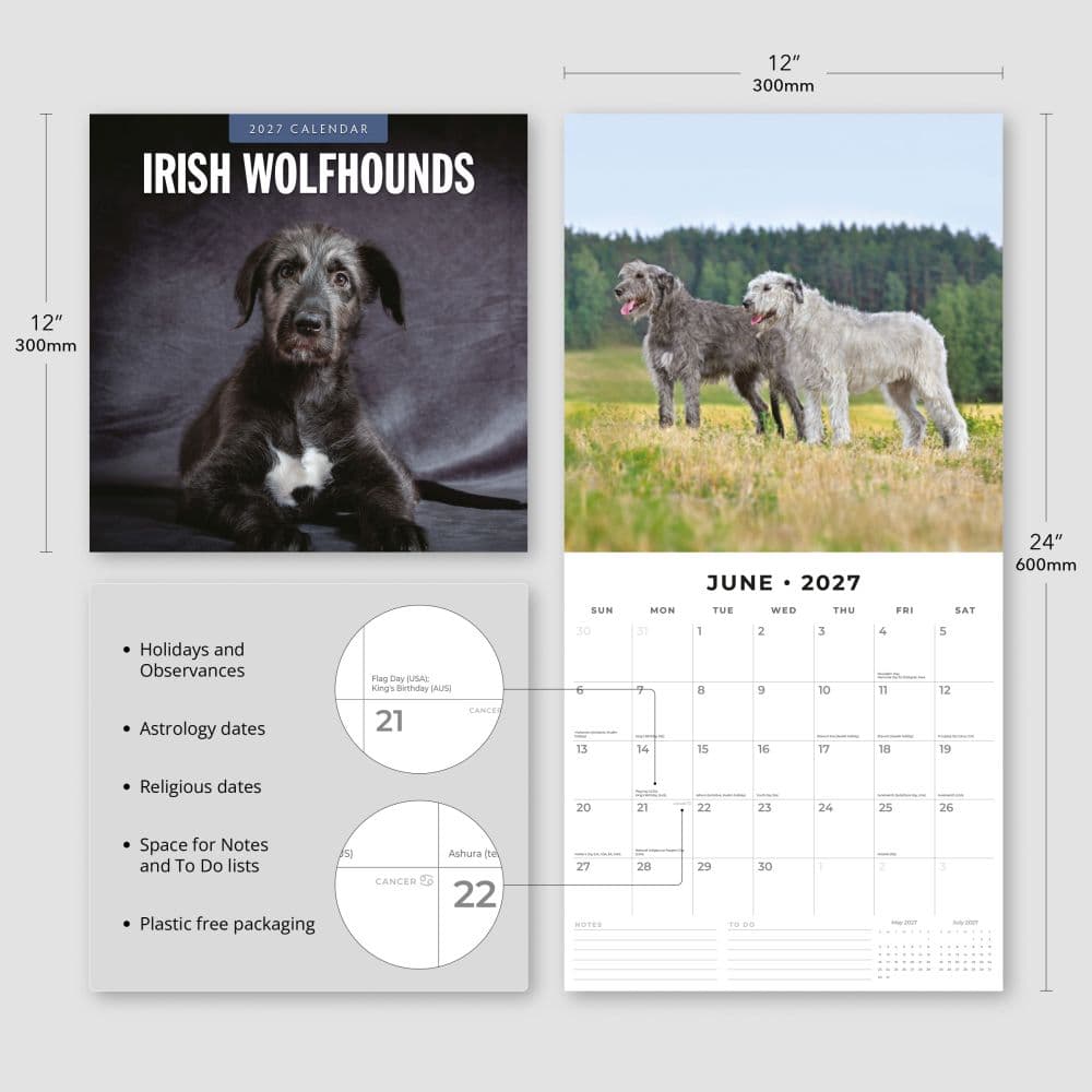 Irish Wolfhounds 2027 Wall Calendar Third Alternate Image