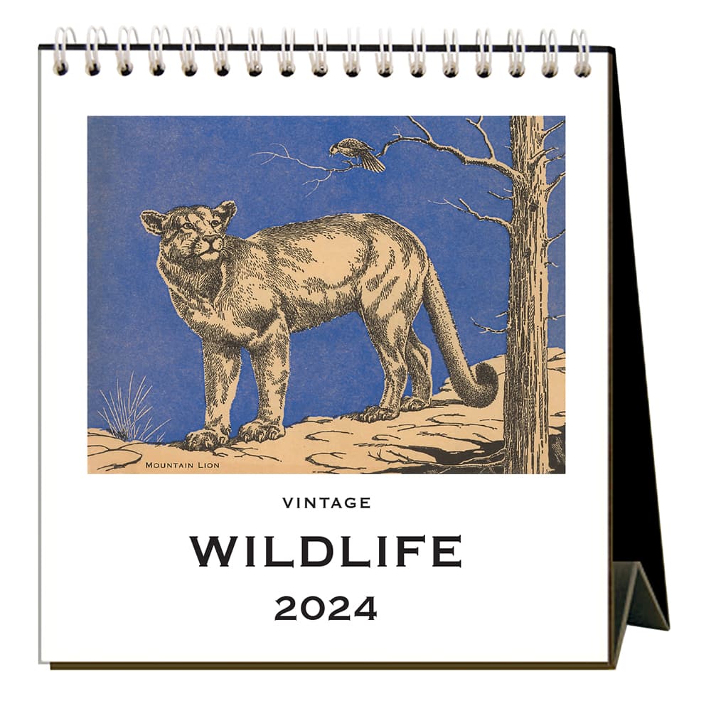 Wildlife 2024 Easel Desk Calendar Main Product Image width=&quot;1000&quot; height=&quot;1000&quot;