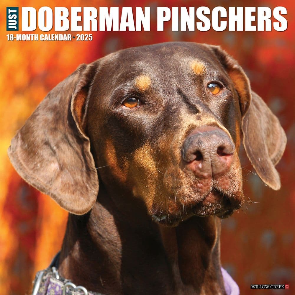 Just Dobermans 2025 Wall Calendar