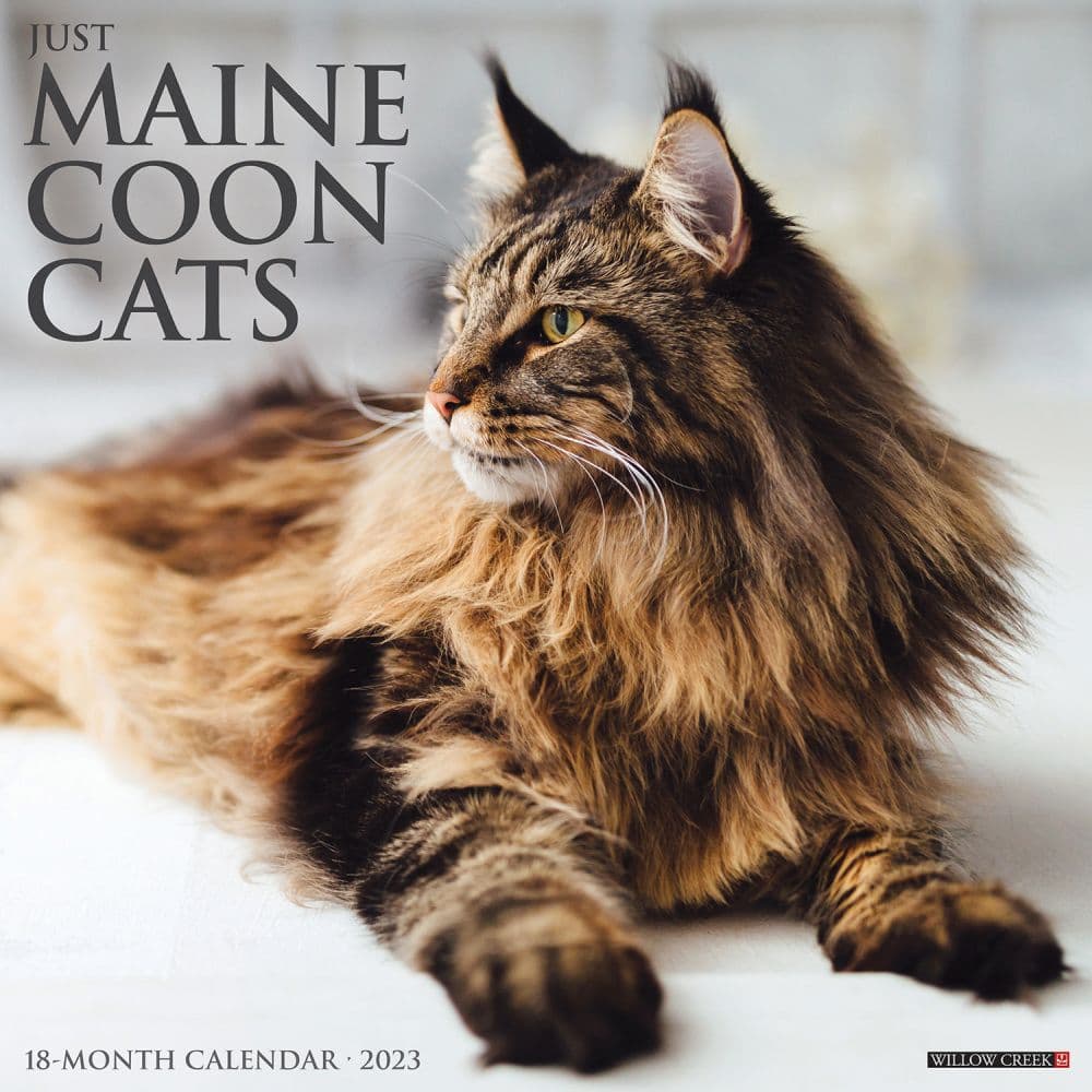 Willow Creek Press Maine Coon Cats 2023 Wall Calendar