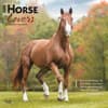 image Horse Lovers 2025 Wall Calendar  Main Image