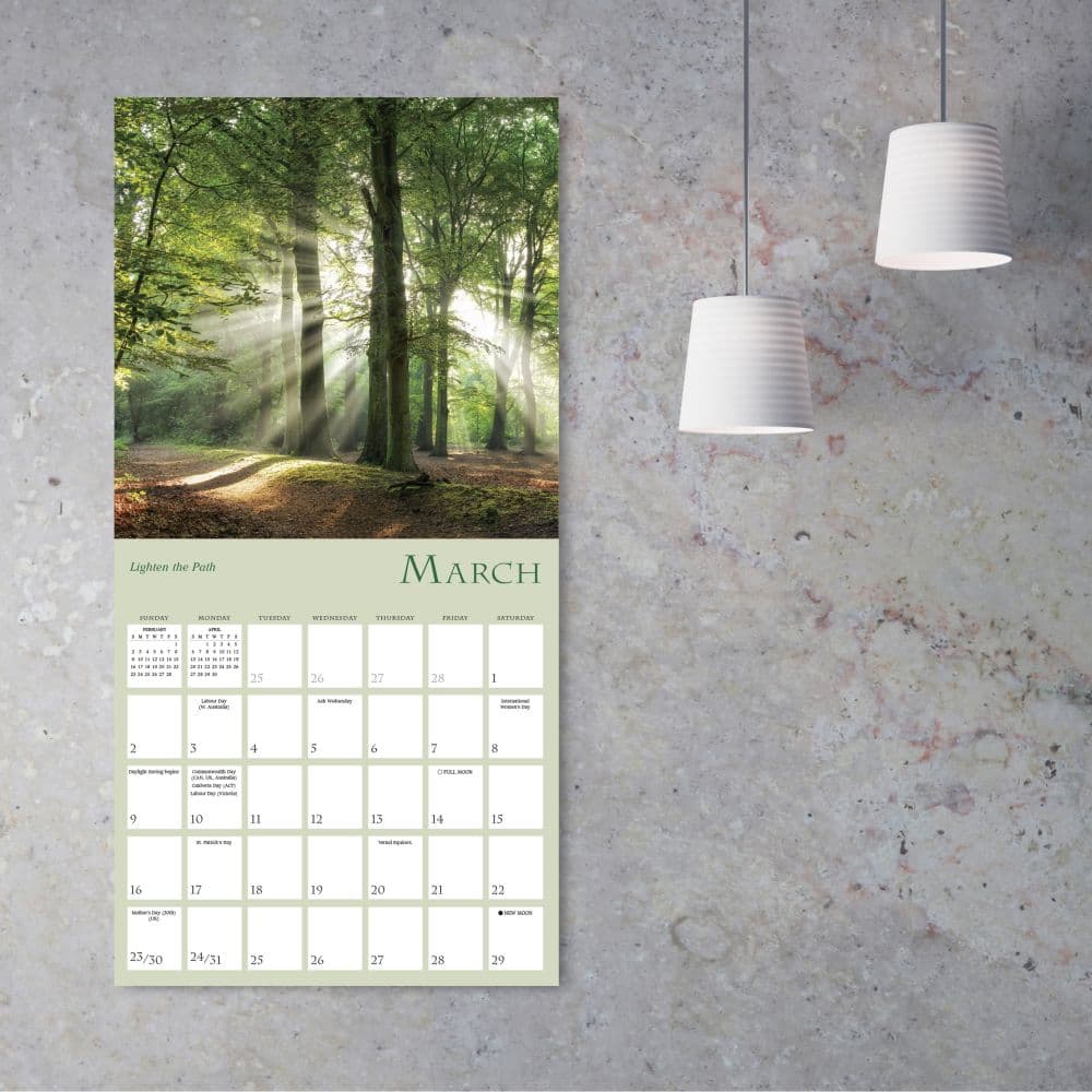 Enchanted Pathways Photography 2025 Wall Calendar