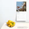 image Goats in Trees 2024 Wall Calendar Alternate Image 3