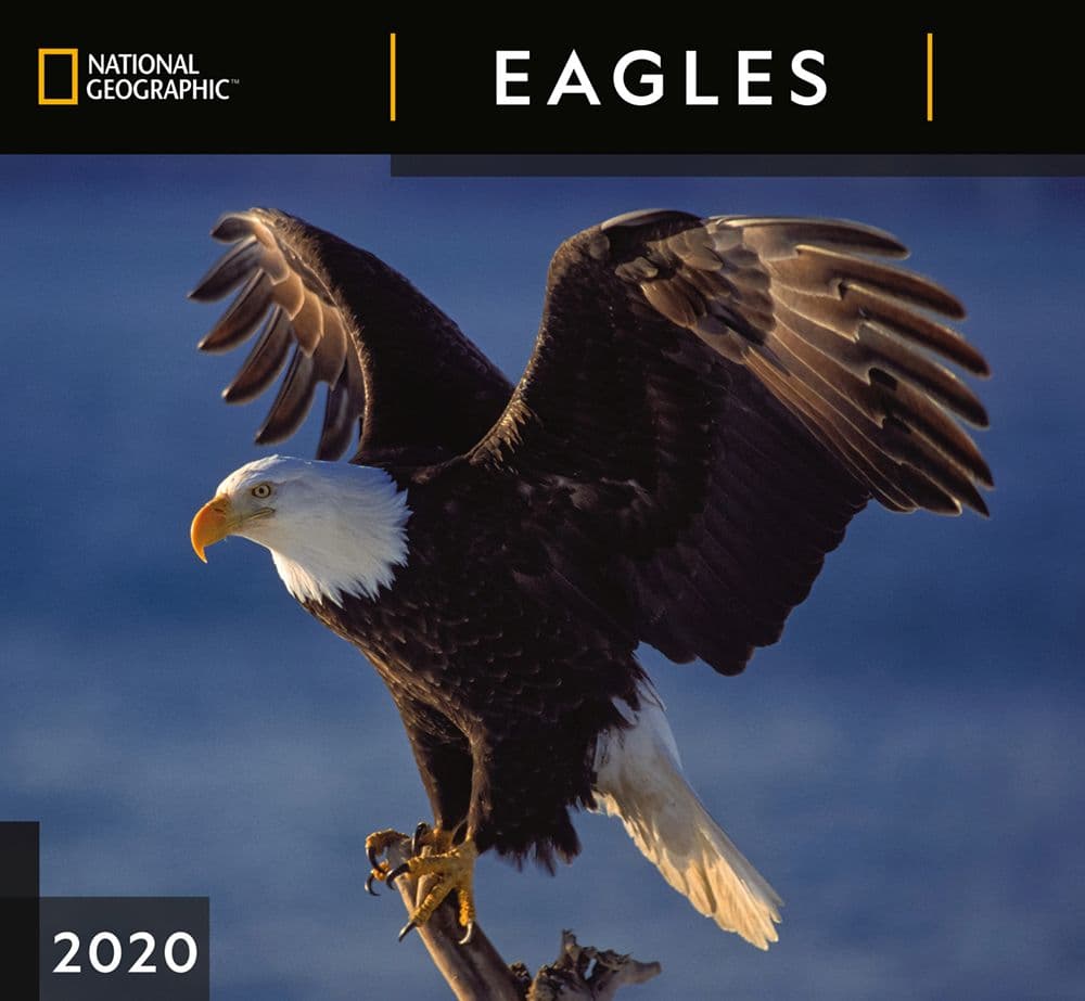 Eagles National Geographic 2021 Wall Calendar - Calendars.com