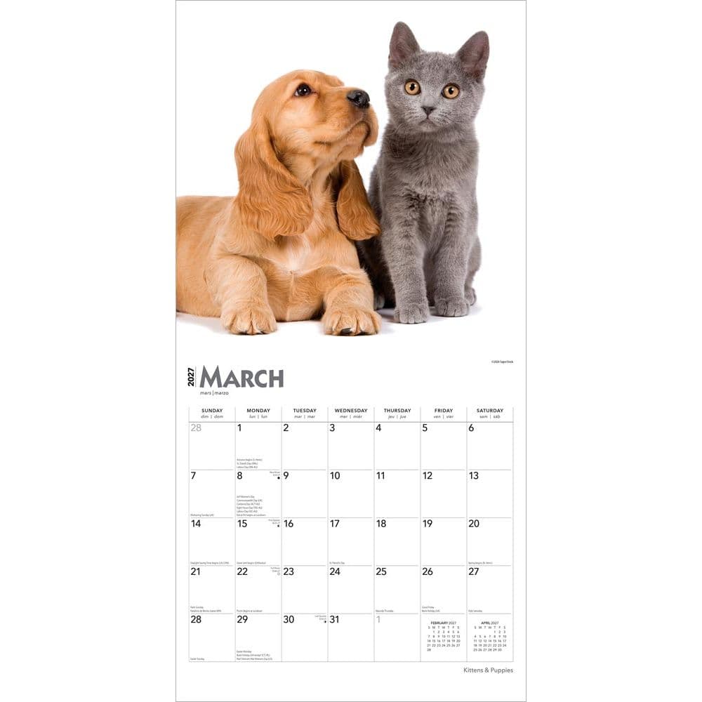 Kittens And Puppies 2027 Wall Calendar Second Alternate Image